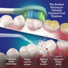 Load image into Gallery viewer, Lion &amp; Lamb 2.0 Portable Toothbrush &amp; Water Flosser - Teal
